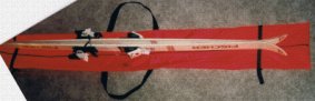 ski_cover.jpg